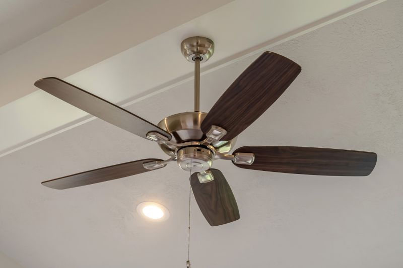Ceiling Fan Installation
